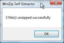 self-extracting winzip file for the 30-60-90 day sales plan template with audio coaching - success message